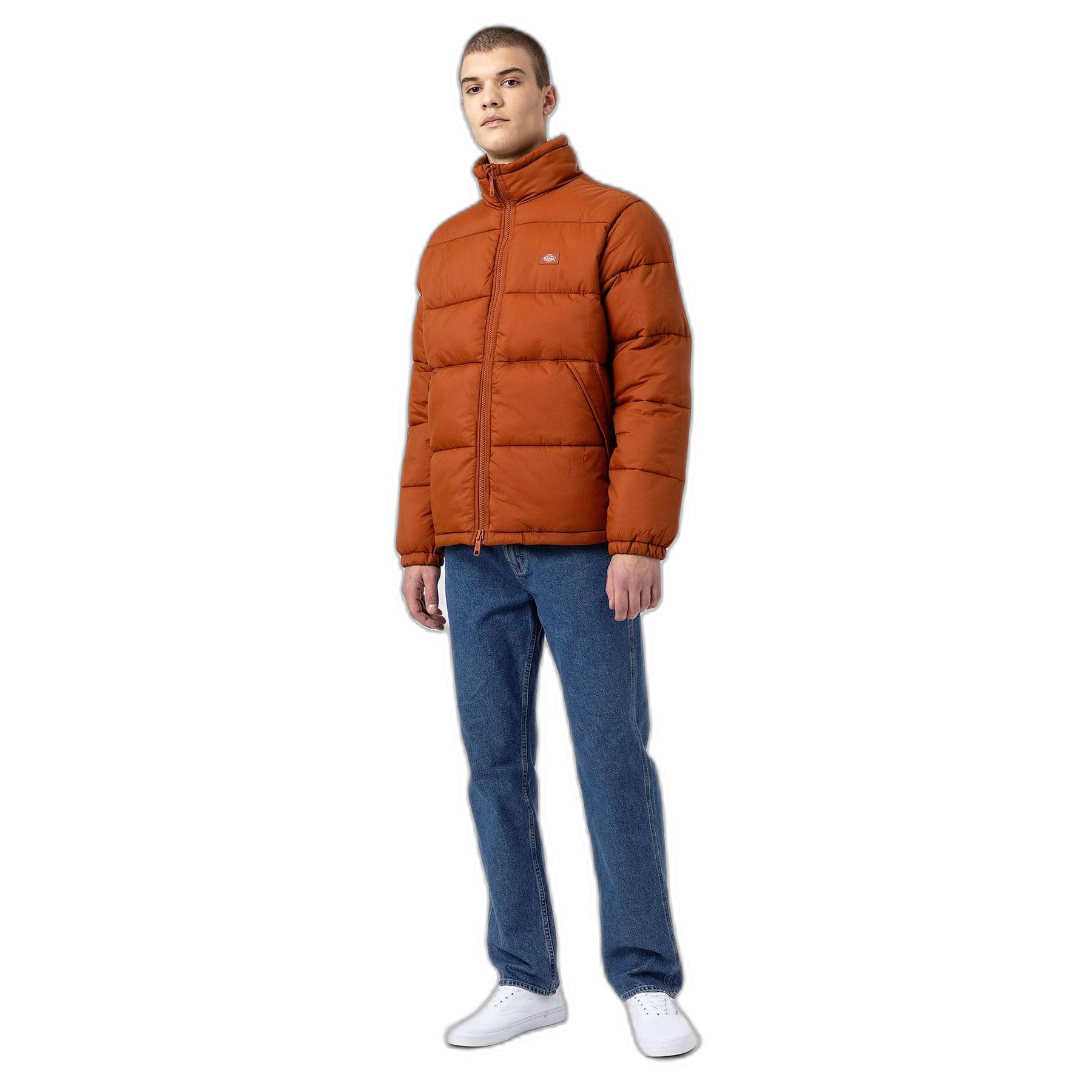product/d/i/dickies_dk0a4xp2-iex_mag3967962_1.jpg