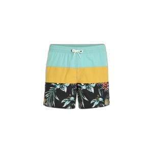 2800132-12022-custome-da-bagno-uomo-o-neill-mix-match-cali-block-15-foschia-dorata