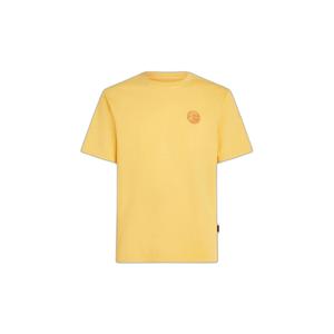 2850290-12022-t-shirt-o-neill-o-riginals-vintage-graphic-foschia-dorata