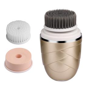 hb066-spazzola-elettrica-per-la-pulizia-paloma-beauties-oppure-tu